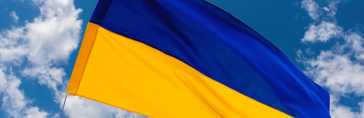 Image for Hiring Ukrainian refugees - what you need to know