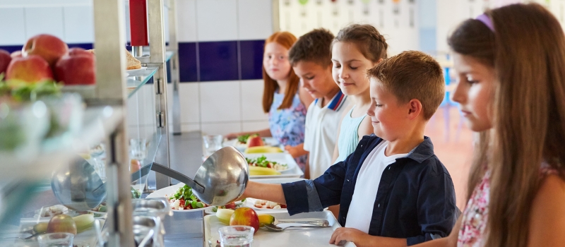 SSG Update image for Benedict's Law: What Schools and Education Providers Need to Know