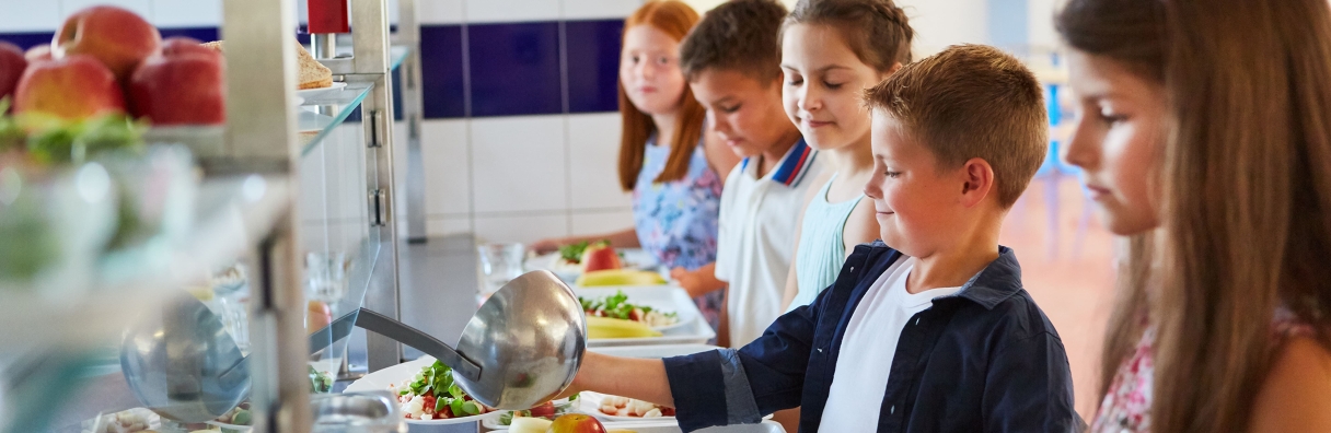 Image for Benedict's Law: What Schools and Education Providers Need to Know