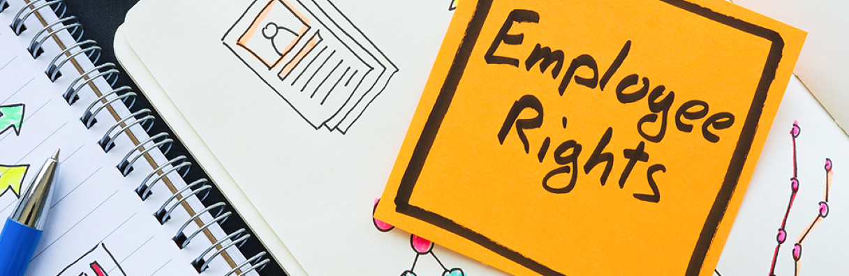 Image for Employment Rights Bill announcement – What you need to know
